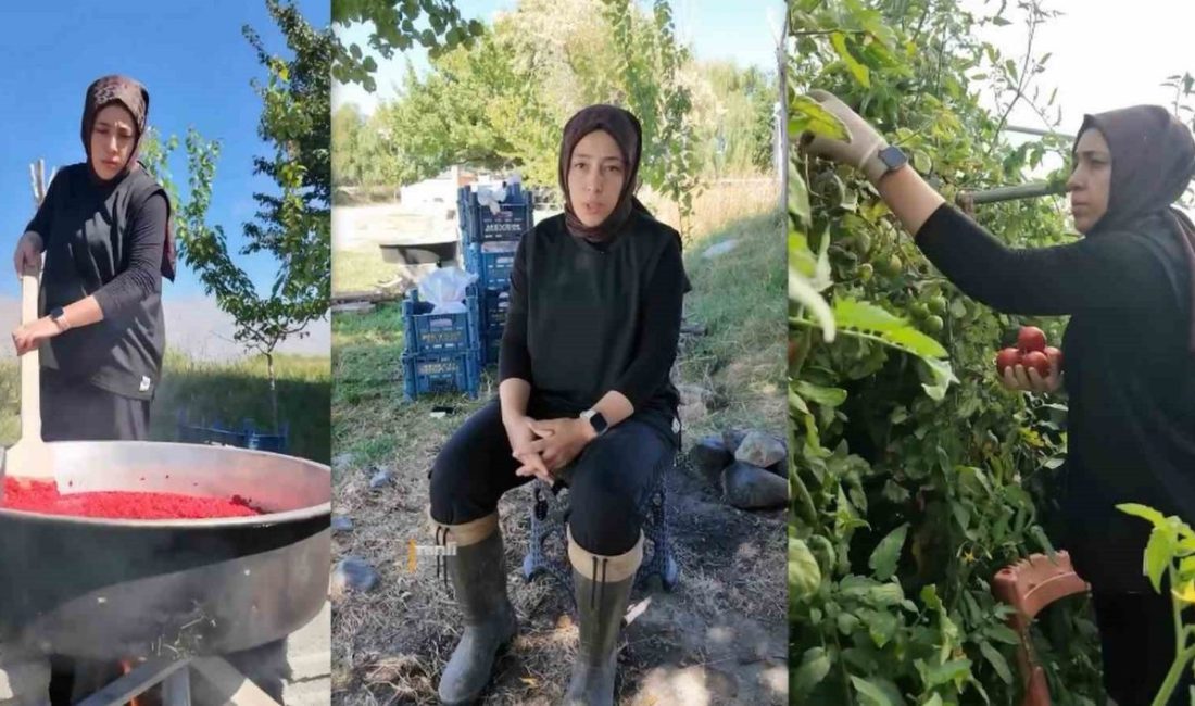 Erzincan’da kadın girişimci Zeynep Ciminli, Tarım Müdürlüğünün sağladığı yüzde 70