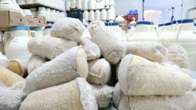 Erzincan’da yaşayan Şavak Aşireti mensupları, asırlardır süregelen geleneksel yöntemlerle ürettikleri