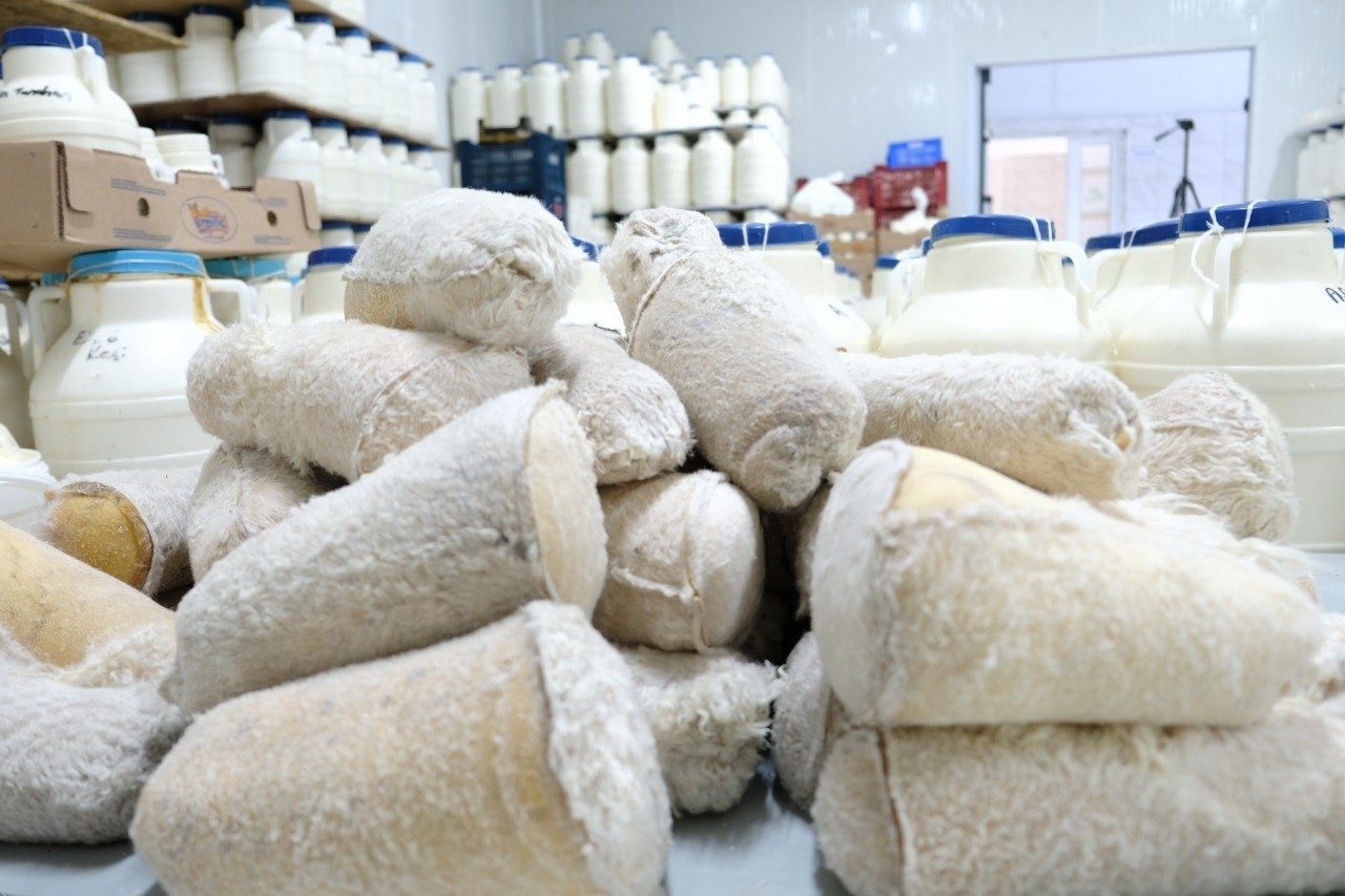 Erzincan’da yaşayan Şavak Aşireti mensupları, asırlardır süregelen geleneksel yöntemlerle ürettikleri