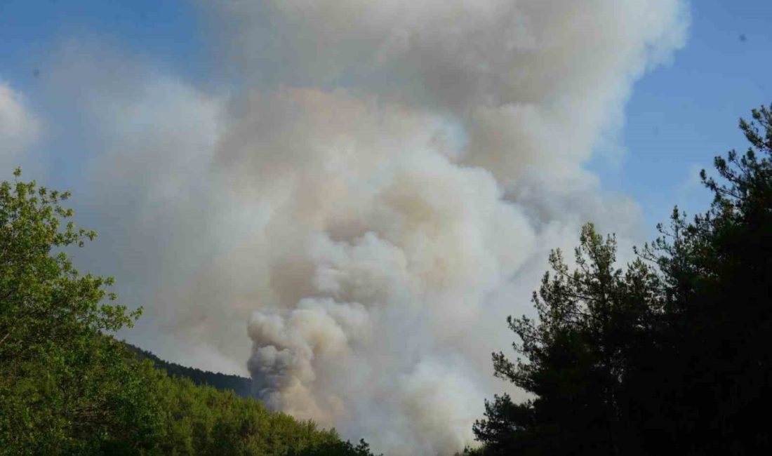 Kastamonu’nun Araç ilçesinde devam eden orman yangınıyla ilgili Kastamonu Valiliği’nden