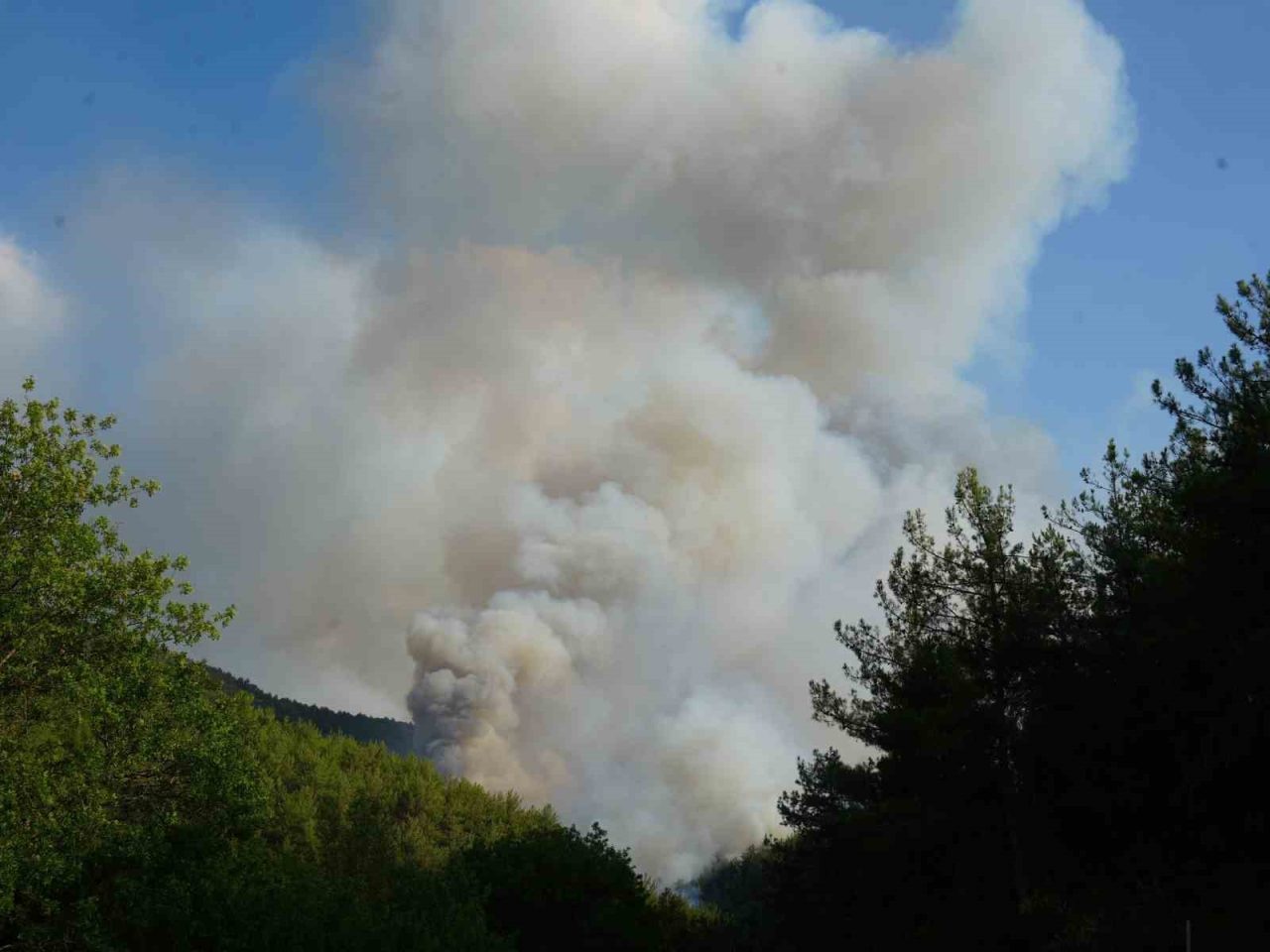 Kastamonu’nun Araç ilçesinde devam eden orman yangınıyla ilgili Kastamonu Valiliği’nden
