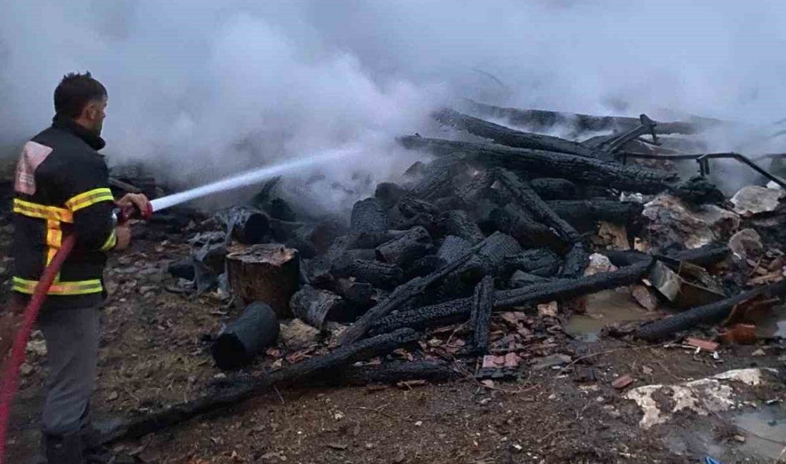 Kastamonu’nun Cide ilçesinde elektrik kontağından çıktığı tahmin edilen yangında bir