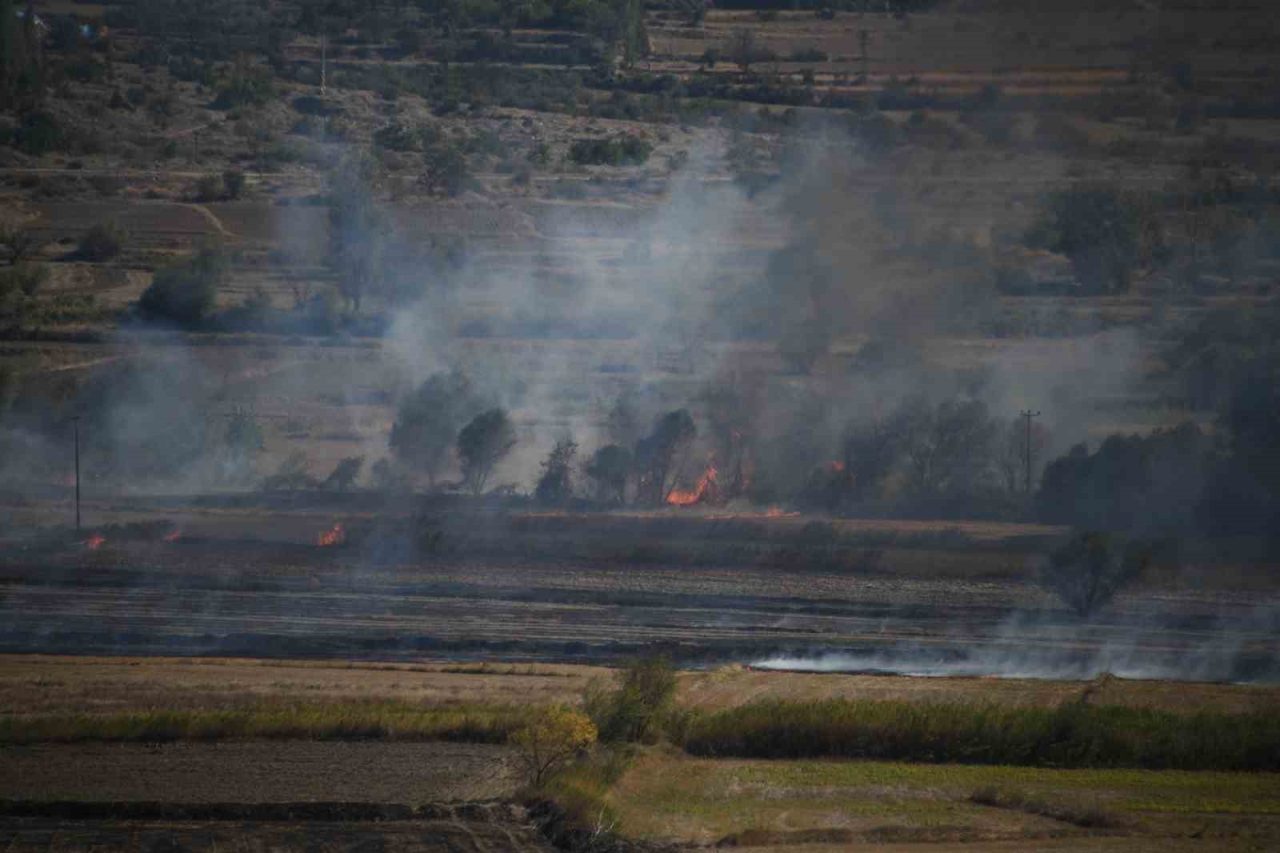 Kastamonu’nun Tosya ilçesinde çeltik tarlasında çıkan yangın, itfaiye ekipleri tarafından