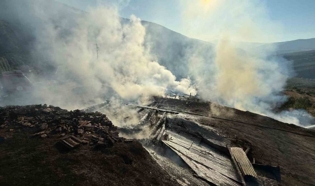 Kastamonu’nun Araç ilçesinde çıkan yangında iki ev ve iki samanlık