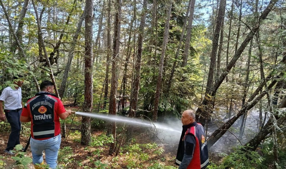 Kastamonu’nun Azdavay ilçesinde ormanlık alanda çıkan yangın, itfaiye ve orman