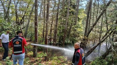 Kastamonu’nun Azdavay ilçesinde ormanlık alanda çıkan yangın, itfaiye ve orman
