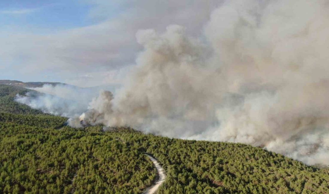 Kastamonu’nun Araç ilçesinde etkili olan iki orman yangını sürüyor. Havadan