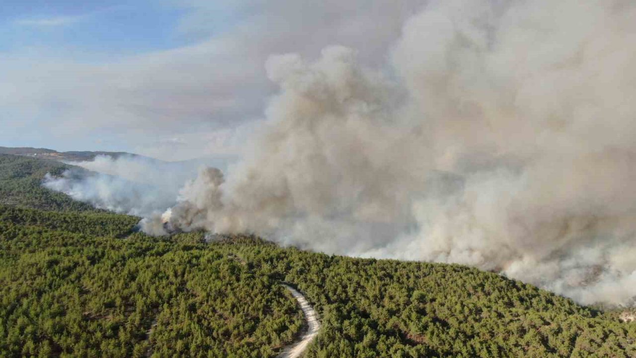 Kastamonu’nun Araç ilçesinde etkili olan iki orman yangını sürüyor. Havadan