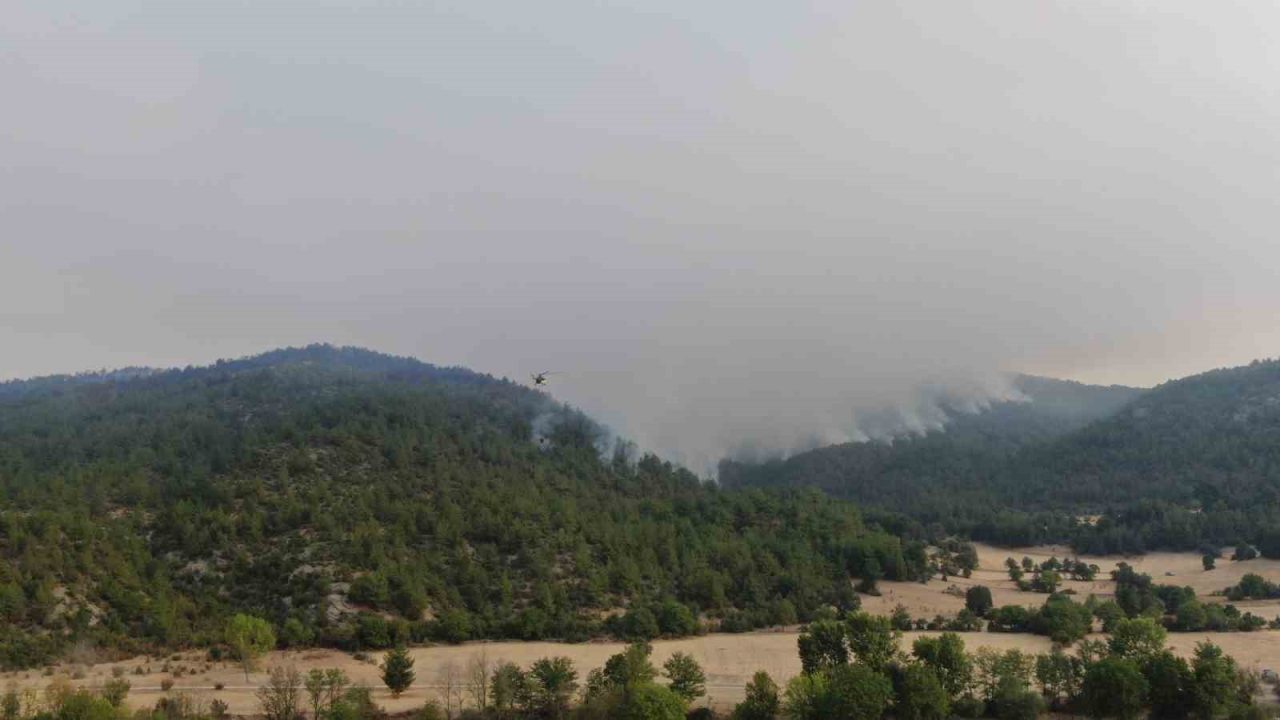 Kastamonu’nun Araç ilçesinde çıkan orman yangınlarının üçüncü gününde süren müdahale
