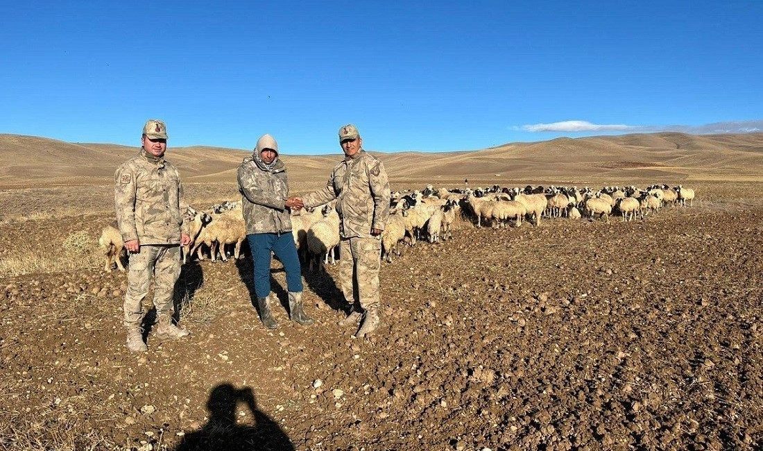 Erzincan’ın Çayırlı ilçesinde kaybolan 300 koyun jandarma ekiplerince drone ile