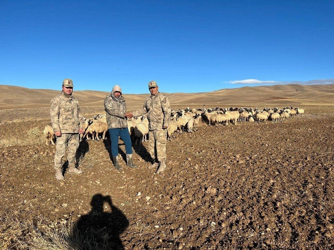 Erzincan’ın Çayırlı ilçesinde kaybolan 300 koyun jandarma ekiplerince drone ile