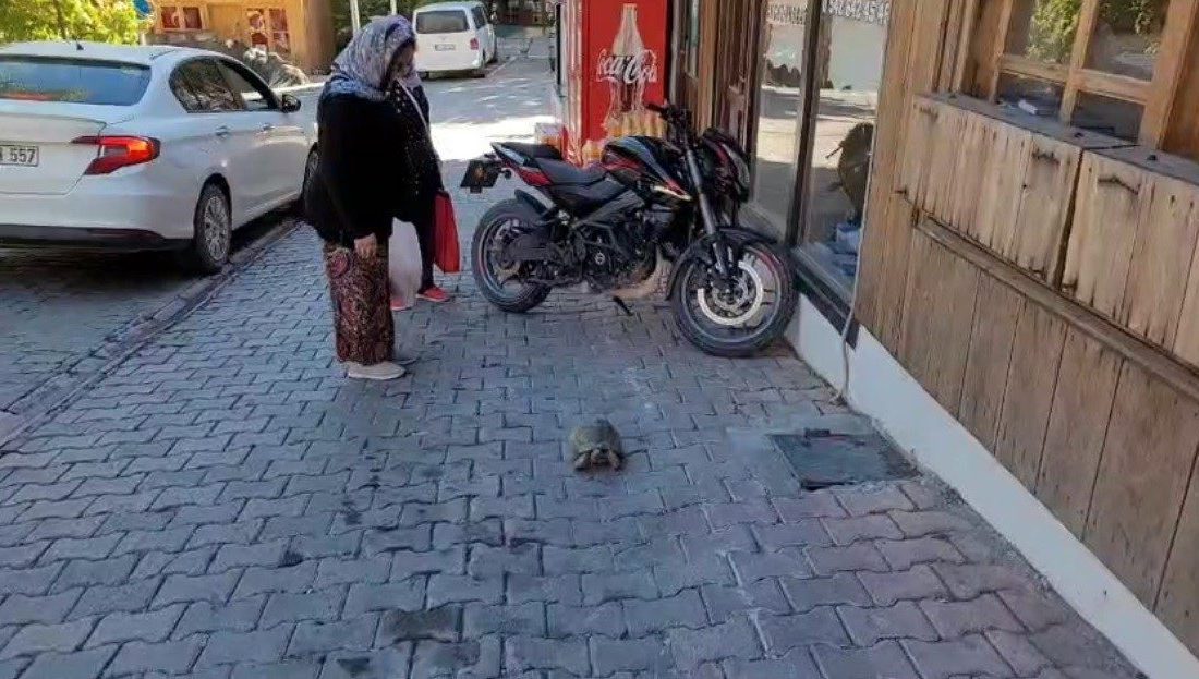 Sakin şehir anlamına gelen Cittaslow kentleri arasında yer alan Erzincan’ın