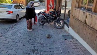 Sakin şehir anlamına gelen Cittaslow kentleri arasında yer alan Erzincan’ın