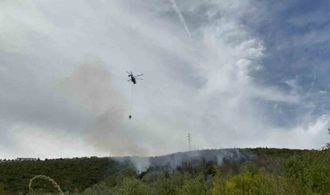Kocaeli’nin İzmit ilçesinde çıkan orman yangını, ekiplerin havadan ve karadan