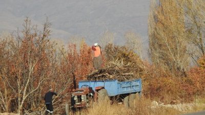 Erzincan’da havaların soğumasıyla birlikte kışlık yakacak ihtiyaçlarını gidermeye çalışan vatandaşlar,