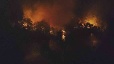 Antalya’nın Manavgat ilçesinde ırmak kenarında çıkan yangında böğürtlen ve çalılık