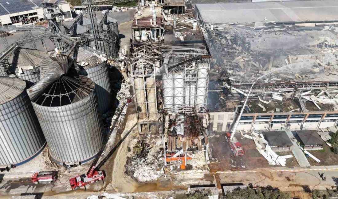 Sakarya’nın Hendek ilçesinde geçen yıl 5 kişinin hayatını kaybettiği, 26