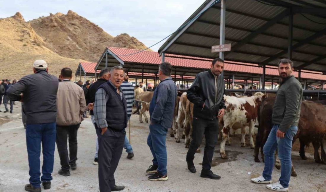 Oltu ilçesinde şap hastalığı nedeniyle yaklaşık üç aydır kapalı olan