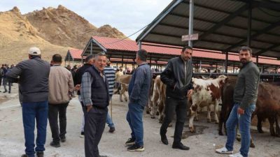 Oltu ilçesinde şap hastalığı nedeniyle yaklaşık üç aydır kapalı olan
