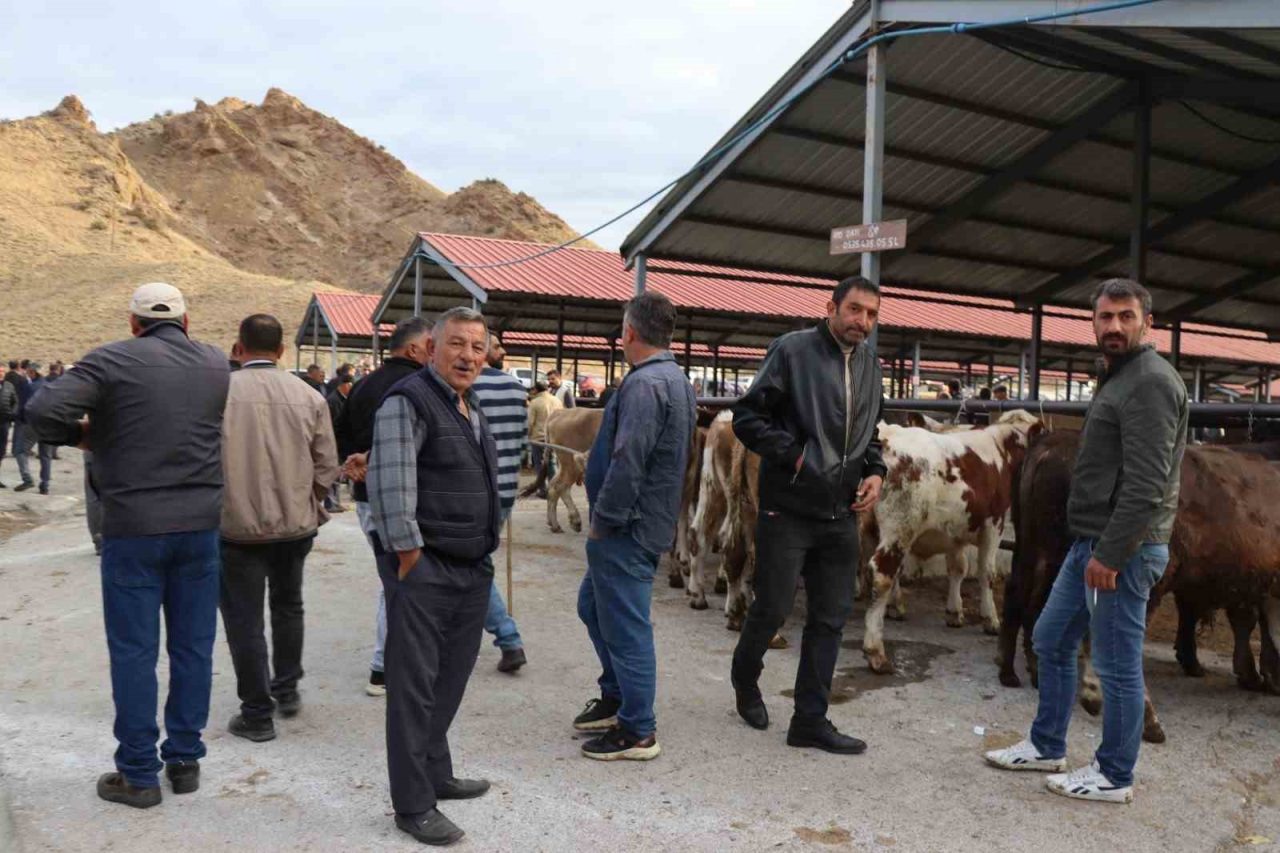 Oltu ilçesinde şap hastalığı nedeniyle yaklaşık üç aydır kapalı olan