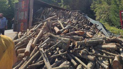 Ordu’nun Akkuş ilçesinde seyir halinde olan tomruk yüklü kamyon devrildi.