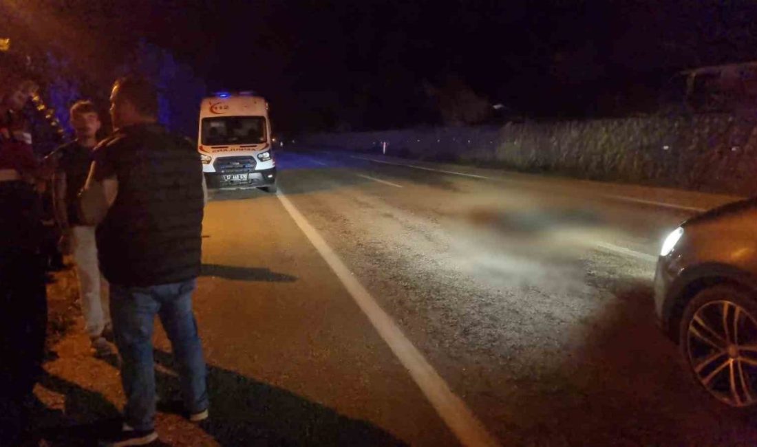 Sinop’ta yolun karşısına geçmeye çalışan yaşlı adam, otomobilin çarpması sonucu