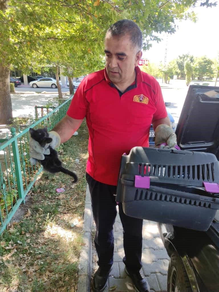 Erzincan’da otomobilin kaput kısmında sıkışan yavru kedi itfaiye ekiplerince kurtarıldı.