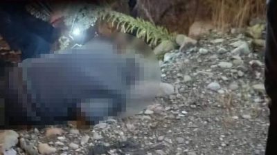 Sinop’un Ayancık ilçesinde düzenlenen geleneksel Ayancık Panayırı alanında hareketsiz bulunan