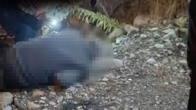 Sinop’un Ayancık ilçesinde düzenlenen geleneksel Ayancık Panayırı alanında hareketsiz bulunan