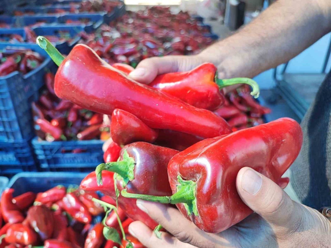 Bayburt’ta Eylül ayı ile birlikte haftanın belirli günü kurulan pazarlar