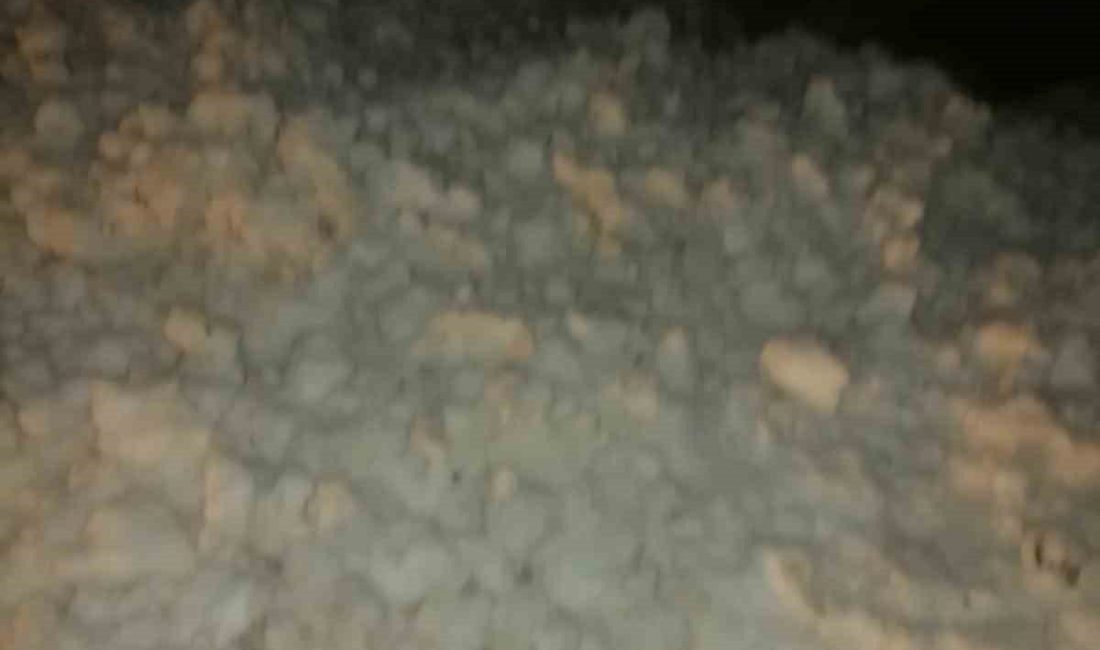 Rize haftasonu şiddetli yağış ile birlikte sel ve heyelana, yüksek