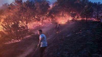 Sakarya’nın Geyve ilçesinde makilik alanda çıkan yangın, ekiplerin müdahalesi ile