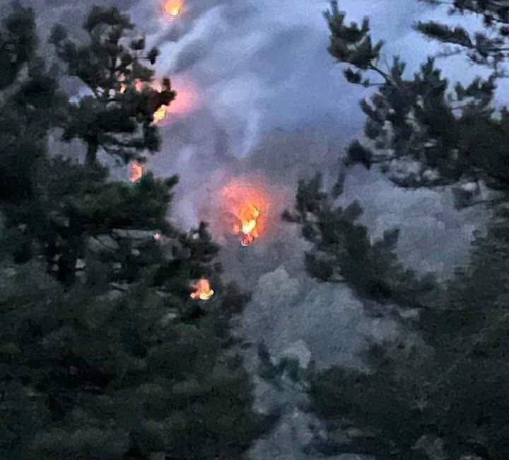 Sakarya’nın Akyazı ve Hendek ilçeleri arasında bulunan ormanlık alanda çıkan