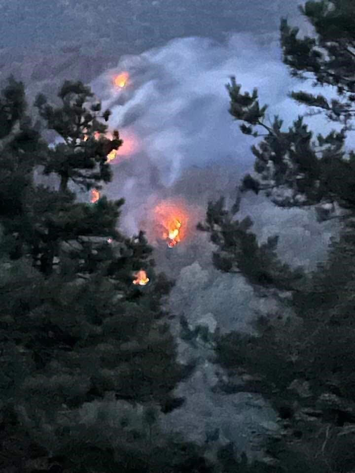 Sakarya’nın Akyazı ve Hendek ilçeleri arasında bulunan ormanlık alanda çıkan