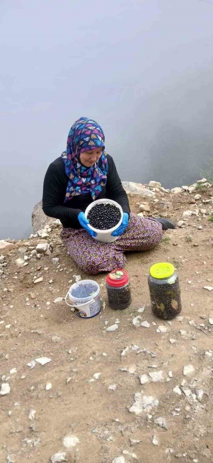 Trabzon’un Şalpazarı ilçesinin yüksek rakımlı yaylaları, sonbaharın gelişiyle birlikte adeta