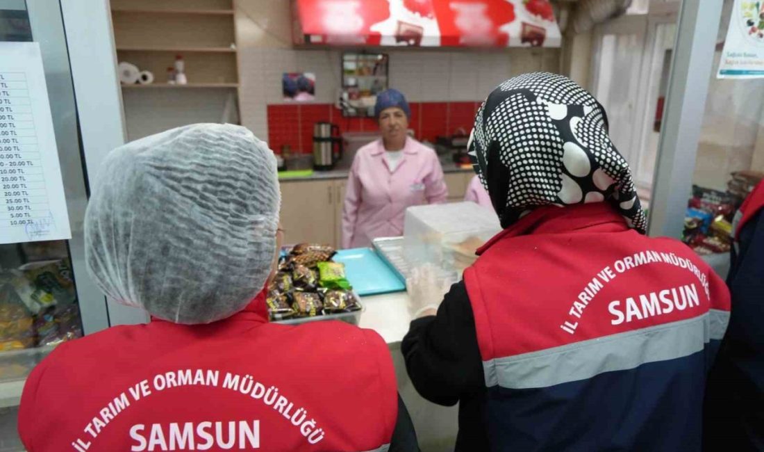 Samsun’da okul kantin ve yemekhanelerinde denetim gerçekleştirildi. Tarım ve Orman