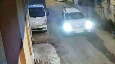 Sinop’ta aniden yola fırlayan yavru kedi, bir aracın çarpması sonucu