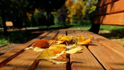 Diyetisyenler, metabolizma hızının değiştiği sonbahar günlerinde çoğu insanda görülen halsizliğe