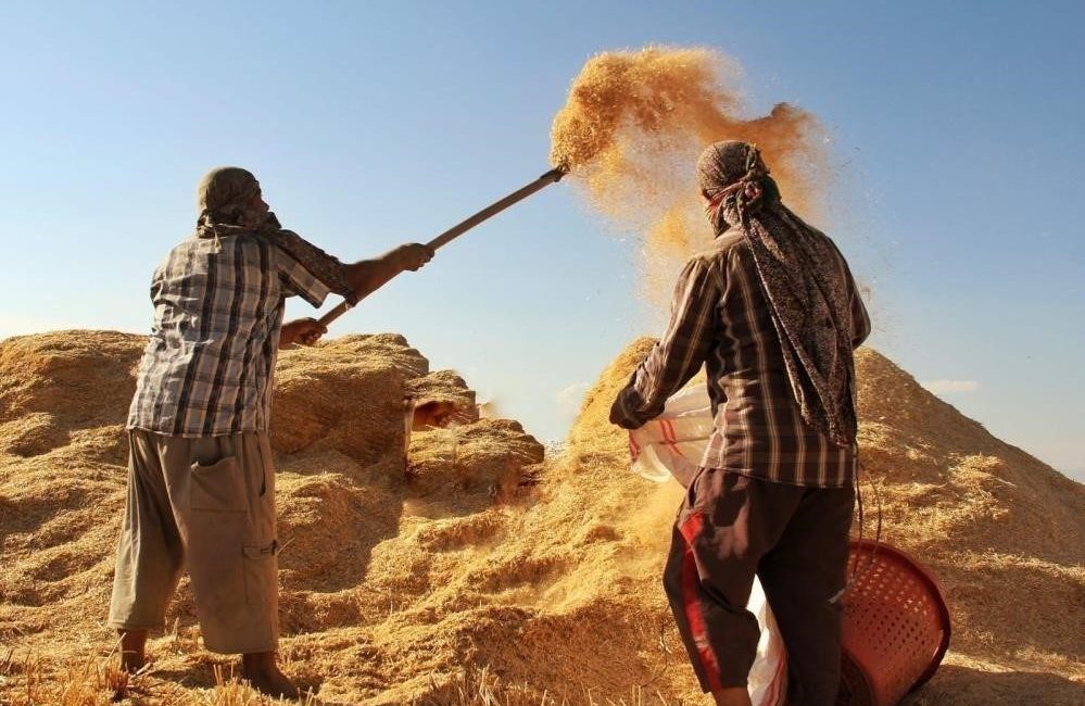 Tarımsal girdi fiyat endeksi (Tarım-GFE) yıllık yüzde 34,22 arttı, aylık