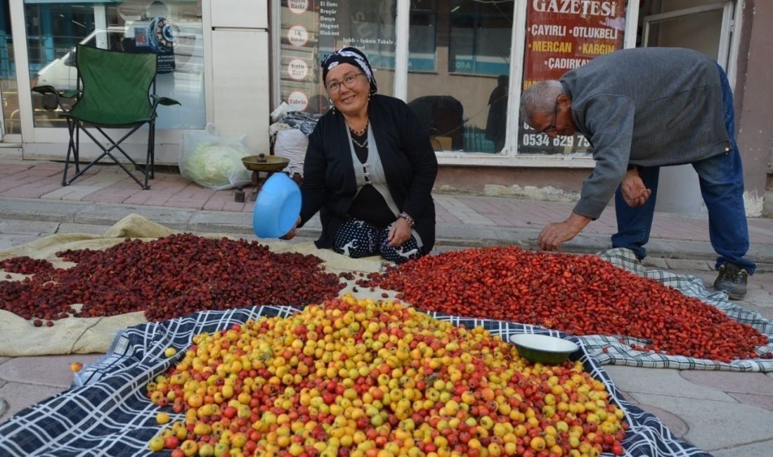 Erzincan’ın Tercan ilçesinde bazı vatandaşlar, dağlık alanda yetişen alıç, kuşburnu,