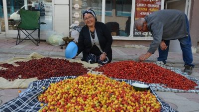 Erzincan’ın Tercan ilçesinde bazı vatandaşlar, dağlık alanda yetişen alıç, kuşburnu,