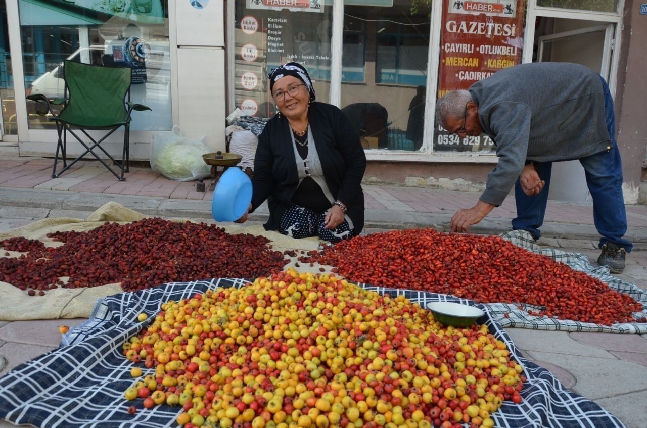 Erzincan’ın Tercan ilçesinde bazı vatandaşlar, dağlık alanda yetişen alıç, kuşburnu,