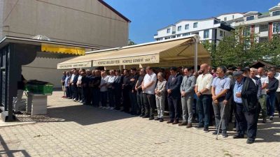 Kocaeli’nin Körfez ilçesinde otomobilin çarptığı 78 yaşındaki Binnaz Kaya son