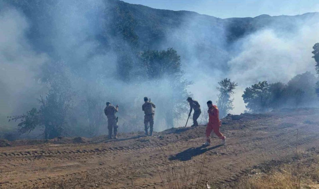 Tunceli’nin Nazımiye ilçesinde meydana gelen kırsal alan yangını kontrol altına