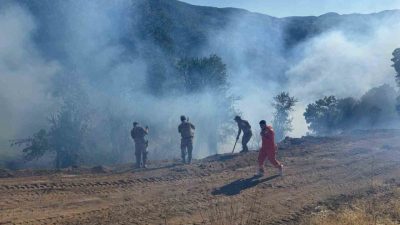 Tunceli’nin Nazımiye ilçesinde meydana gelen kırsal alan yangını kontrol altına