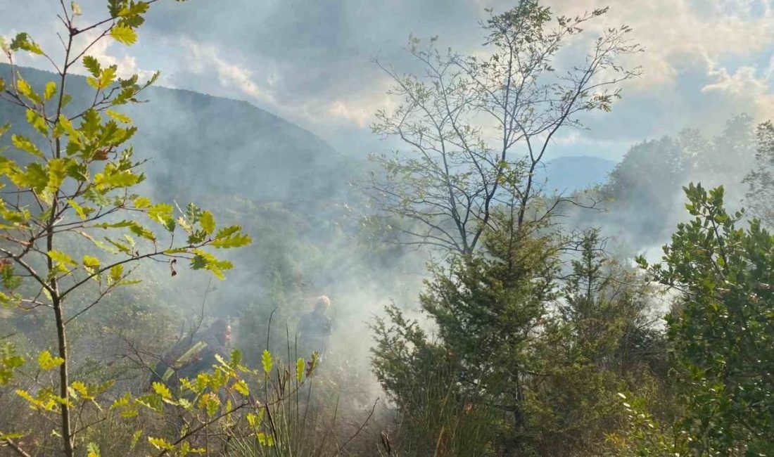 Sinop’un Türkeli ilçesinde otluk alanda çıkan yangın söndürüldü. İlçeye bağlı