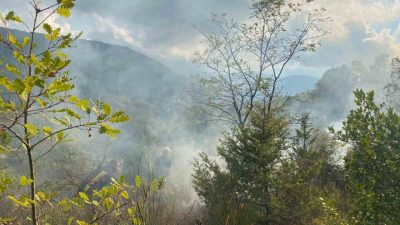 Sinop’un Türkeli ilçesinde otluk alanda çıkan yangın söndürüldü. İlçeye bağlı
