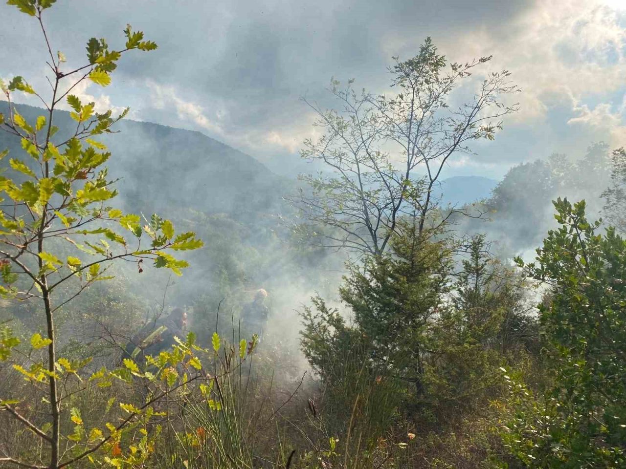 Sinop’un Türkeli ilçesinde otluk alanda çıkan yangın söndürüldü. İlçeye bağlı
