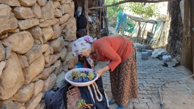 Erzincan’da uzun kış gecelerinde tüketmek için her çeşit meyve kurutulmak