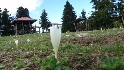 Arap turistlerin yoğun ilgi gösterdiği yaylalar turizm sezonunun bitmesiyle adeta